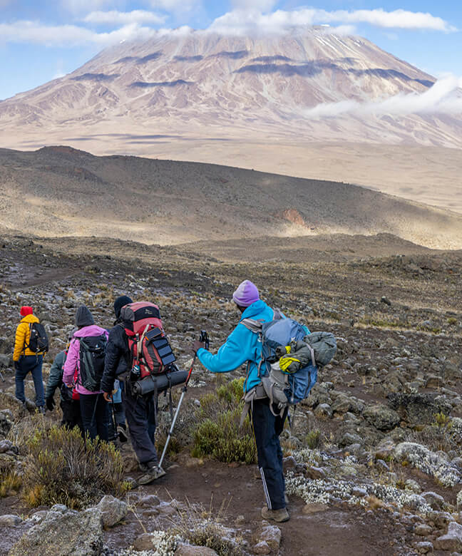 腾博汇游戏官网·(中国)专业服务,诚信为本